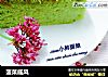 菠菜戚风的做法
