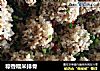 粽香糯米排骨的做法