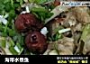 海带水煮鱼的做法