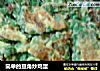 简单的豆角炒鸡蛋的做法