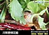 川味香辣花蛤的做法