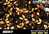 油酥辣子的做法