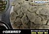 小白菜猪肉饺子的做法