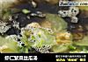 虾仁紫菜丝瓜汤的做法