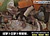 胡萝卜白萝卜青椒顿羊排的做法
