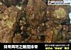 排骨两吃之糖醋排骨的做法