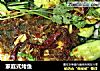 家庭式烤鱼的做法