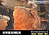 排骨蟹汤炖松茸的做法