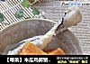 【粤菜】木瓜鸡脚猪骨汤的做法