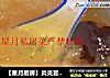 【星月厨房】炎炎夏日自制银耳汤的做法