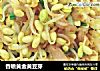 香喷黄金黄豆芽的做法