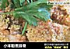 小米粉蒸排骨的做法