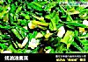 蚝油油麦菜的做法
