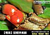 【粤菜】豉椒炒黄鳝的做法