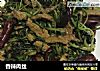 香辣肉丝做法(7)的做法