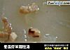 冬瓜虾米瑶柱汤的做法