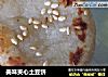 美味夹心土豆饼的做法