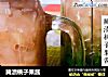 腌渍桃子果酱的做法