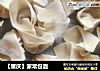 【重庆】家常包面的做法