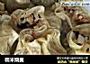 糯米烧麦的做法