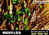 橄榄菜炒土豆丝的做法