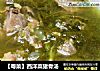 【粤菜】西洋菜猪骨汤的做法