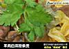 羊肉白菜粉条煲的做法