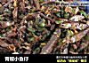 青椒小鱼仔的做法