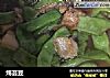 炖芸豆的做法