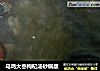 乌鸡大枣枸杞汤砂锅版的做法