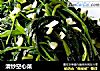 清炒空心菜的做法