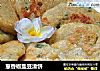 葱香椒盐豆渣饼的做法