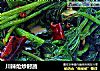 川辣炝炒时蔬的做法