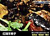 红烧羊蝎子的做法