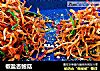 椒盐杏鲍菇的做法