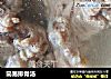 简易排骨汤的做法