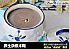 养生杂粮米糊的做法