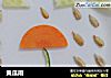 黄瓜雨的做法