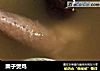 栗子煲鸡的做法