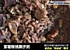 紫薯核桃栗子粥的做法