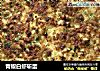 青椒白虾斩蛋的做法