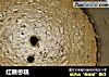 红糖枣糕的做法