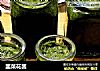 韭菜花酱的做法