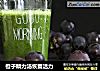 橙子精力汤恢复活力的做法