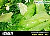 蚝油生菜的做法