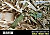豆角焖面的做法