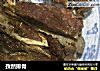孜然排骨的做法