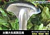 火爆大头菜圆白菜的做法
