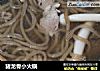 猪龙骨小火锅的做法