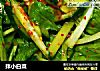 拌小白菜的做法